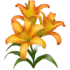 🩷 Эмодзи «-`🩷🧡💛´-» для Telegram