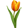 🩷 Эмодзи «-`🩷🧡💛´-» для Telegram