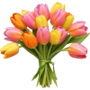 🩷 Эмодзи «-`🩷🧡💛´-» для Telegram