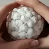 Стикер 49 ʿʿ   Asmr