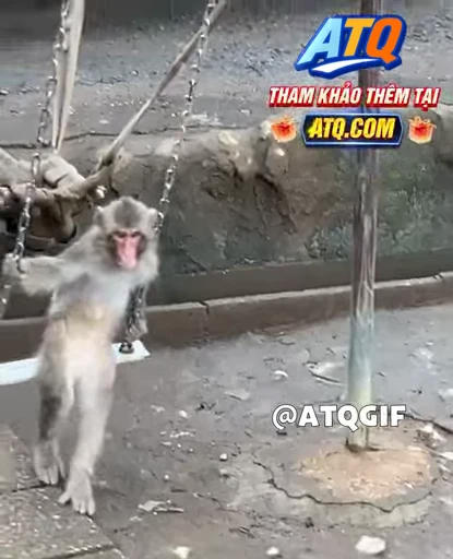 🤩 Стикер «ATQGIF» для Telegram
