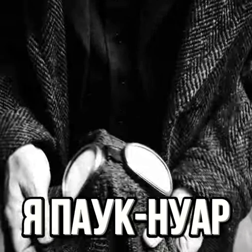 🕷️ Стикер «ПАУК НУАР» для Telegram