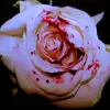 🌟 Эмодзи «ᴀʙᴀᴇʟ ᴀᴇsʜᴇɔs» для Telegram