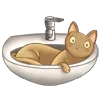 Стикер 22 🥰 Набор эмоджи с котиками