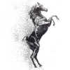 Стикер 50 𝓐𝓵𝓮𝔁 𝓓𝓗
