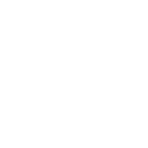 Стикер 20 adaptive logo