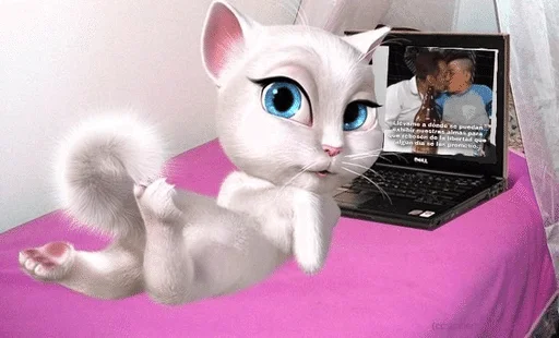 🌟 Стикер «BoniChota» для Telegram