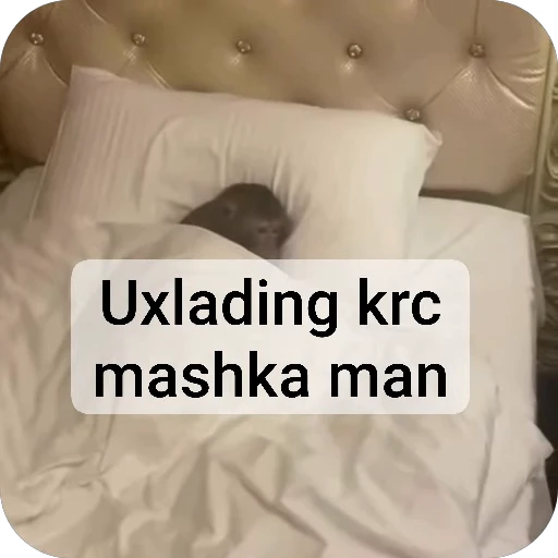 😴 Стикер «Addys O1» для Telegram