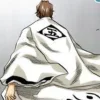 Стикер 31 Aizen