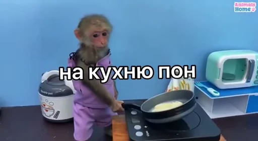 👨‍🍳 Стикер «Обезьяна» для Telegram
