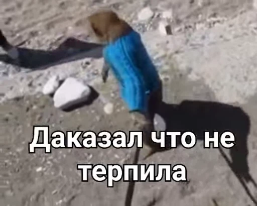 😈 Стикер «Обезьяна» для Telegram