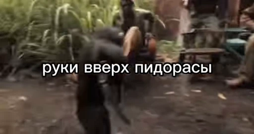 👺 Стикер «Обезьяна» для Telegram