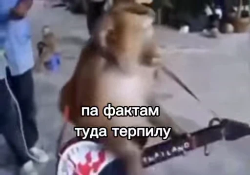 😎 Стикер «Обезьяна» для Telegram