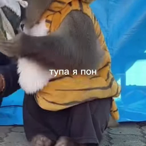 ✌️ Стикер «Обезьяна» для Telegram