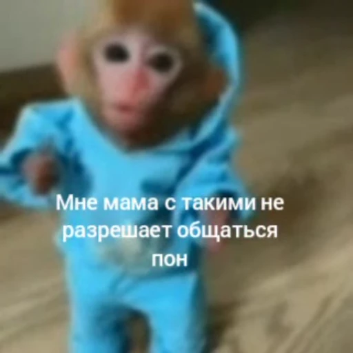 🧐 Стикер «Обезьяна» для Telegram