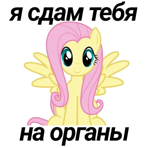 🤩 Стикер «Флаттержизнь» для Telegram