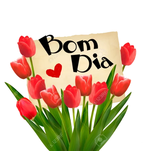 🌹 Стикер «ALOHA STATUS» для Telegram