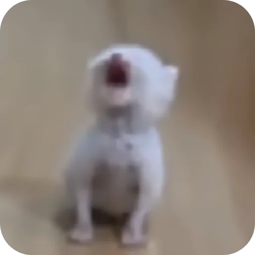 😭 Стикер «Аля улю» для Telegram
