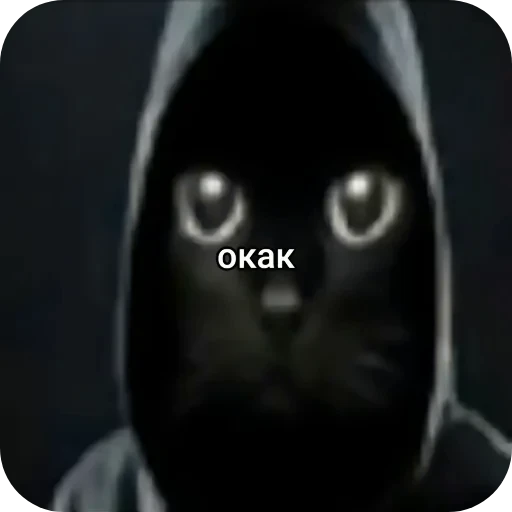 🐱 Стикер «Аля улю» для Telegram