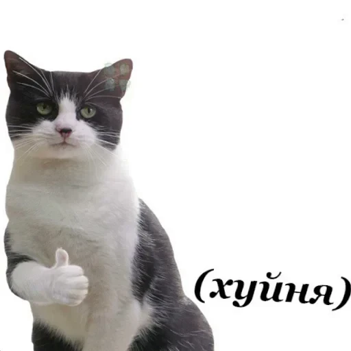 👍 Стикер «Аля улю» для Telegram