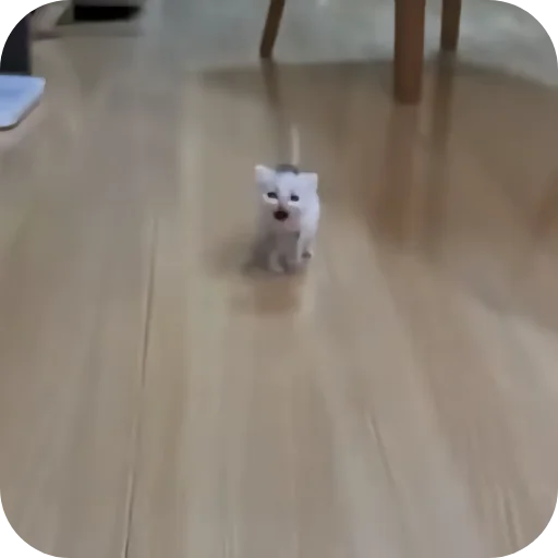 😾 Стикер «Аля улю» для Telegram