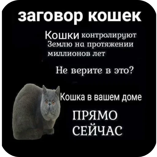 👍 Стикер «Аля улю» для Telegram