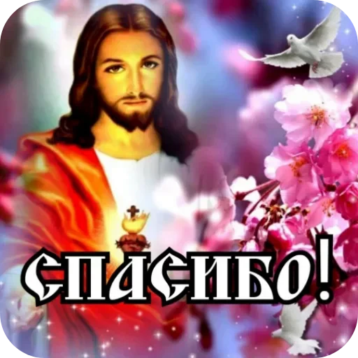 🕊 Стикер «Аля улю» для Telegram