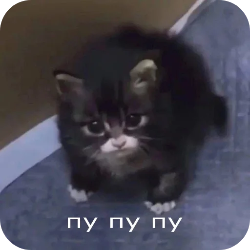 Стикерпак «Аля улю» для Telegram — обложка