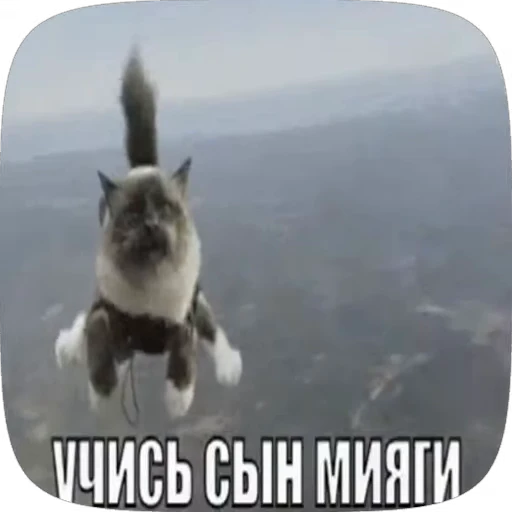 😁 Стикер «Аля улю» для Telegram