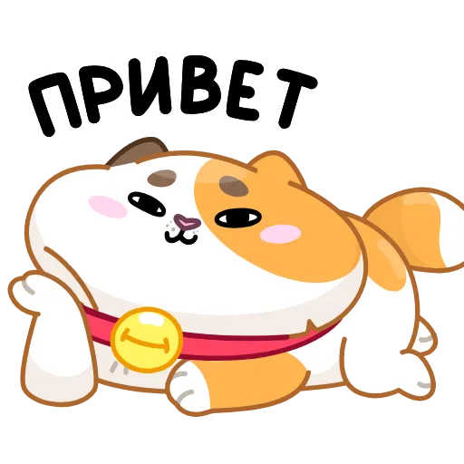 Обложка набора Кот Амур