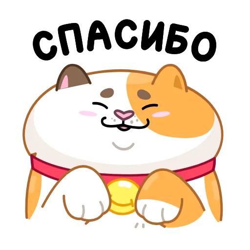 Стикер 35 Кот Амур