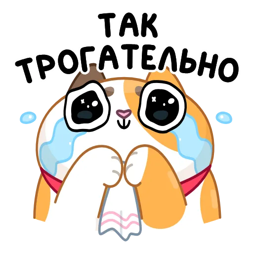 Стикер 43 Кот Амур
