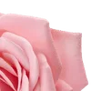 Стикер 3 Amy Rose
