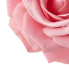 Стикер 9 Amy Rose
