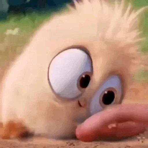 💛 Стикер «Ba Birds» для Telegram