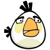 Стикер 27 😡 Angry birds - злые птички эмоджи