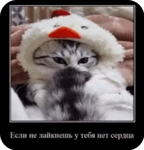 ❤️ Стикер «кыцька» для Telegram