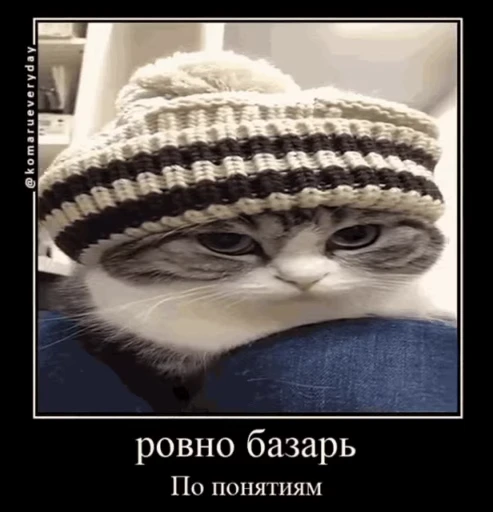 🤓 Стикер «кыцька» для Telegram
