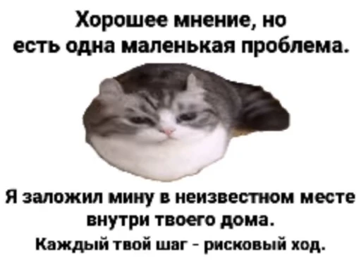 👌 Стикер «кыцька» для Telegram