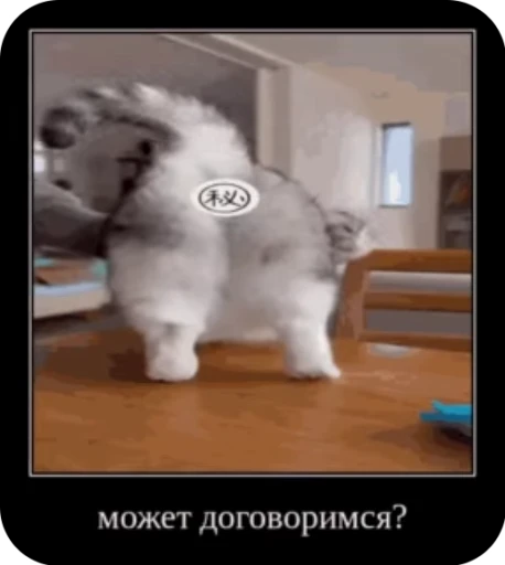 😉 Стикер «кыцька» для Telegram