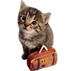 💼 Эмодзи «☆ ★» для Telegram