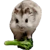 🐹 Эмодзи «☆ ★» для Telegram