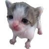 👀 Эмодзи «☆ ★» для Telegram