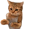 🥛 Эмодзи «☆ ★» для Telegram