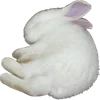 🐇 Эмодзи «☆ ★» для Telegram
