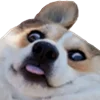 😧 Эмодзи «☆ ★» для Telegram