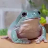 Стикер 2 Animals