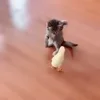 Стикер 54 Animals