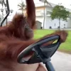 Стикер 30 Animals