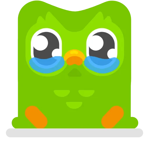 Стикер 13 Duolingo